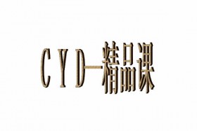 但丁《CYD核心笔记 作弊器》PDF电子书