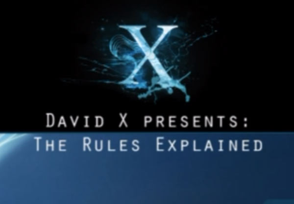 大卫《X规则解释：一致性》